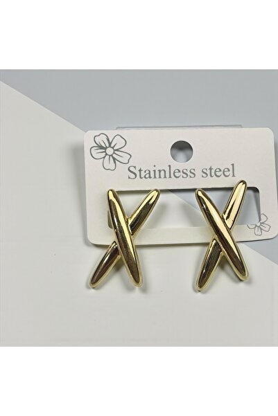 Steel Çelik Küpe