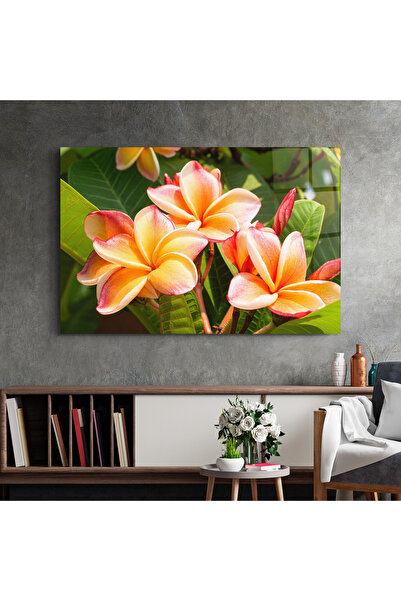 Arthub Glass Painting, Bedroom and Living Room, Exotic Flowers, Pretty Plumeria