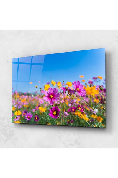 Arthub Tablou Sticla,Dormitor si Living, Flori In Natura, Cosmos Flowers Gras...