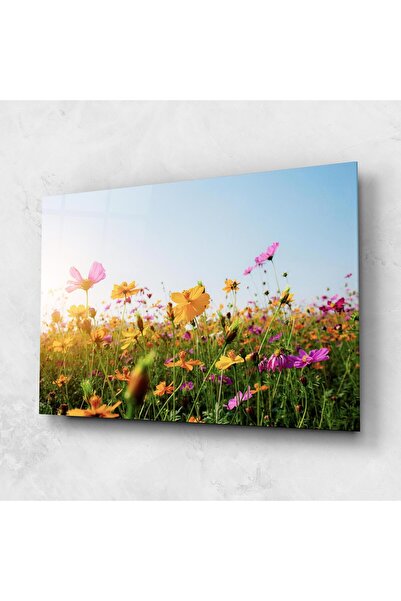 Arthub Tablou Sticla,Dormitor si Living, Flori In Natura, Cosmos Field Sunset