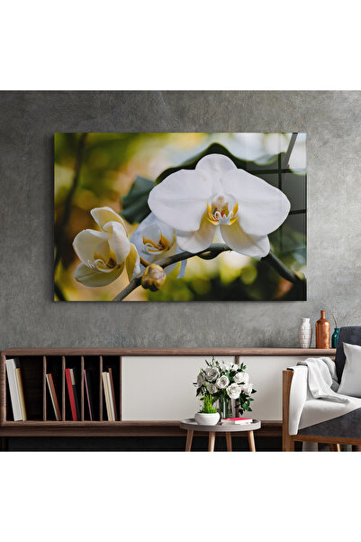 Arthub Glass Painting, Bedroom and Living Room, Orchid, Cream Orchid In Nature