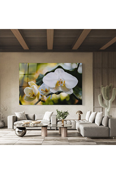 Arthub Glass Painting, Bedroom and Living Room, Orchid, Cream Orchid In Nature