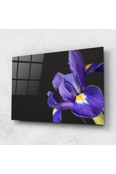 Arthub Glass Painting, Bedroom and Living Room, Iris, Iris On Black