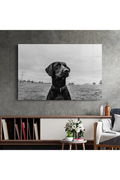 Arthub Glass Painting, Bedroom and Living Room, Black and White, Black Dog
