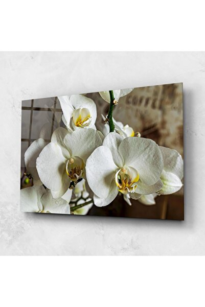 Arthub Tablou Sticla,Dormitor si Living, Orhidee, Beautiful White Orchids