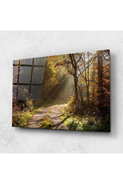 Arthub Glass Painting, Bedroom and Living Room, Forests, Autumn Trees Sun