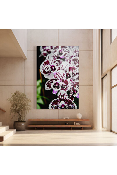 Arthub Glass Painting, Bedroom and Living Room, Orchids, Dark Purple Orchids