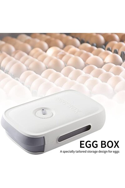 UBX Egg storage container, plastic, capacity 18-20 eggs, 29x22x7.5 cm, white