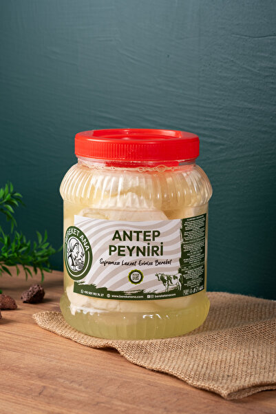 gaziantepli bereket ana baklava & yöresel Antep Salamura İnek Peyniri 1 Kg