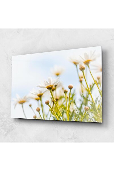 Arthub Tablou Sticla,Dormitor si Living, Margarete, Dreamy Daisy