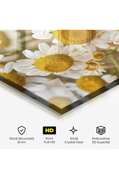 Arthub Glass Painting, Bedroom and Living Room, Daisies, Daisy Wall