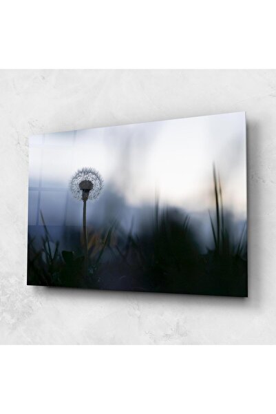 Arthub Tablou Sticla,Dormitor si Living, Flori In Natura, Dandelion Wild View