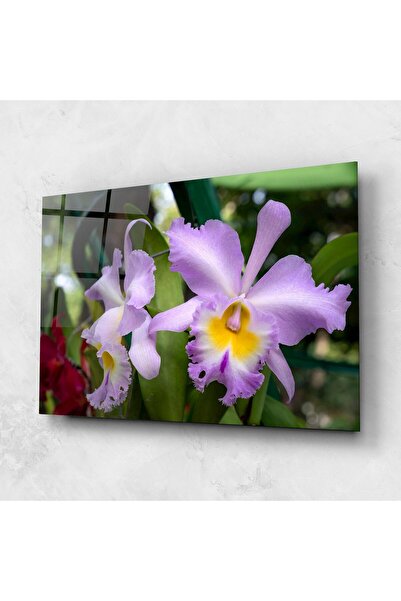 Arthub Glass Painting, Bedroom and Living Room, Iris, Light Purple Iris