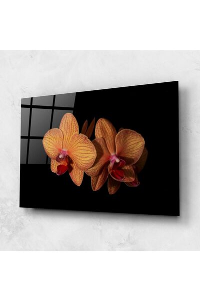 Arthub Glass Painting, Bedroom and Living Room, Orchid, Light Orange Orchid