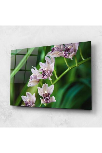 Arthub Tablou Sticla,Dormitor si Living, Flori In Natura, Cymbidium Orchid