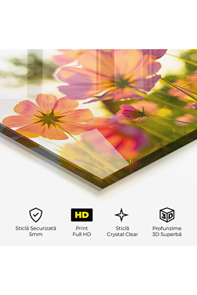 Arthub Tablou Sticla,Dormitor si Living, Flori In Natura, Sunset Blooming Flower