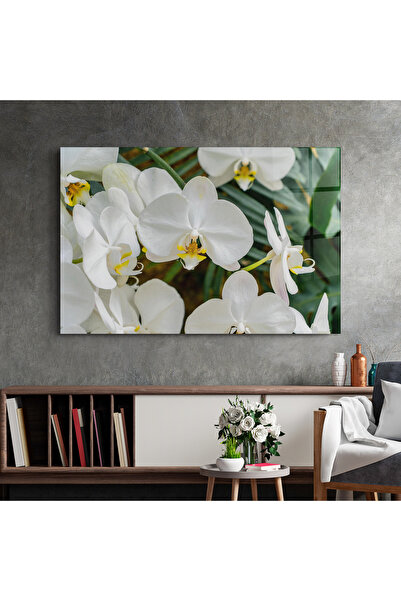 Arthub Glass Painting, Bedroom and Living Room, Orchids, Orchids In Nature
