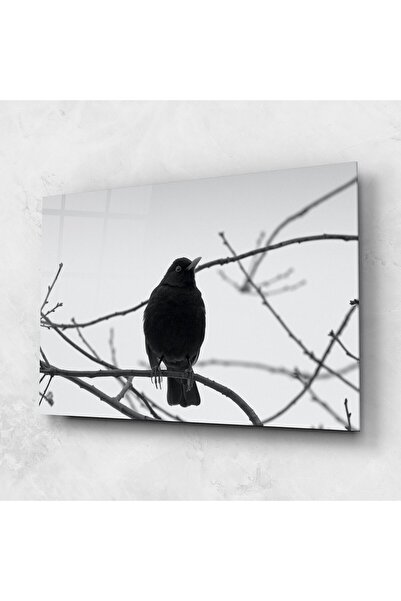 Arthub Glass Painting, Bedroom and Living Room, Black and White, Black Bird