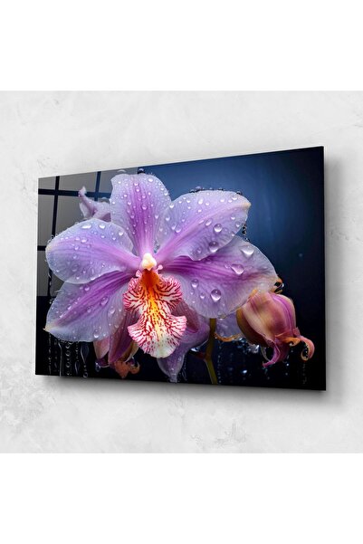 Arthub Tablou Sticla,Dormitor si Living, Orhidee, Orchid In Rain