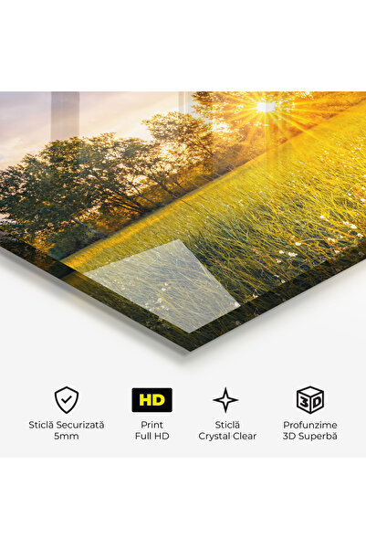 Arthub Glass Painting, Bedroom and Living Room, Summer, Blossoming Meadow