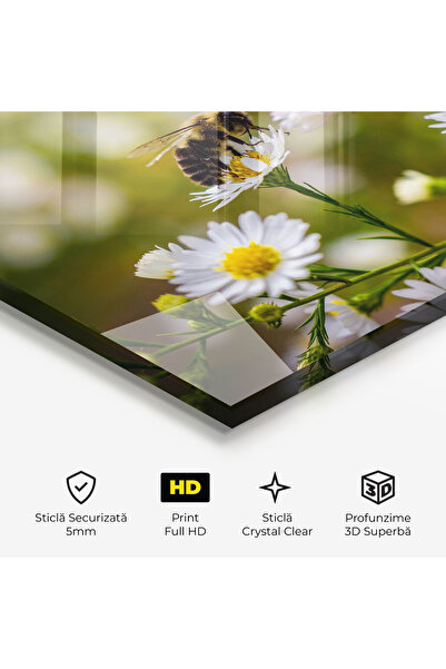 Arthub Glass Painting, Bedroom and Living Room, Daisies, Bee On Small Flower