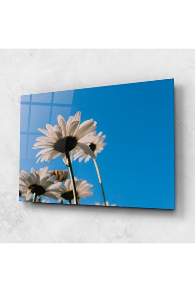Arthub Glass Painting, Bedroom and Living Room, Daisies, Blue Sky Daisy