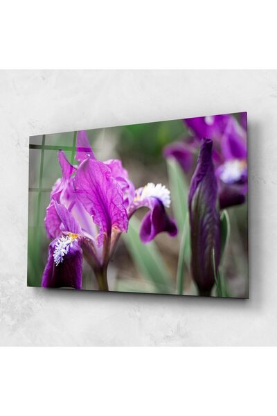 Arthub Tablou Sticla,Dormitor si Living, Iris, Dark Pink Iris