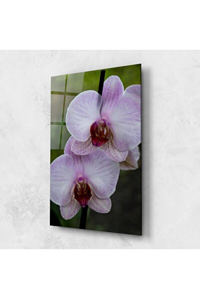 Arthub Glass Painting, Bedroom and Living Room, Orchid, Garden Light Purple Orchid