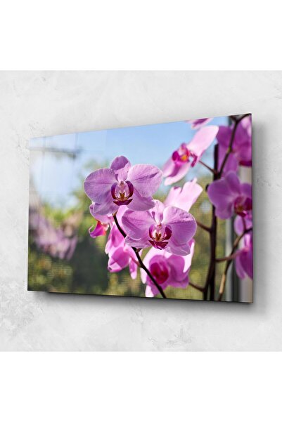 Arthub Glass Painting, Bedroom and Living Room, Orchids, Orchids In The Garden