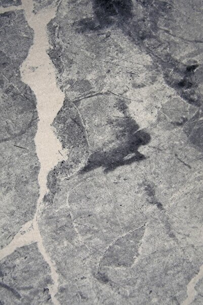 Dijidekor Digital Oval Fringed Carpet Modern Designed Gray Color Erasable 160X200