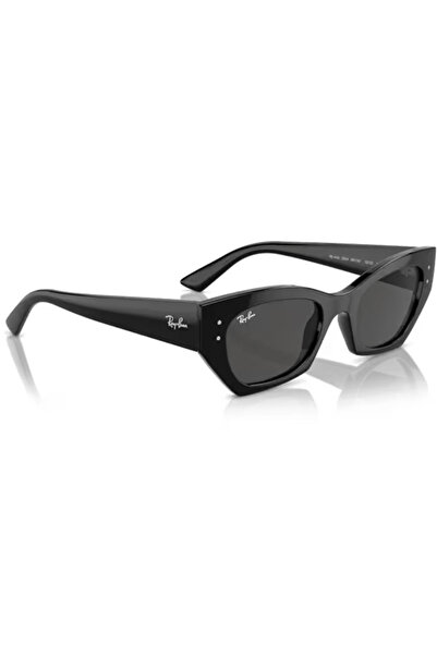 Ray-Ban RAYBAN 4430 6677/87