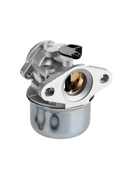 Briggs&Stratton Carburator Briggs & Stratton seria 600