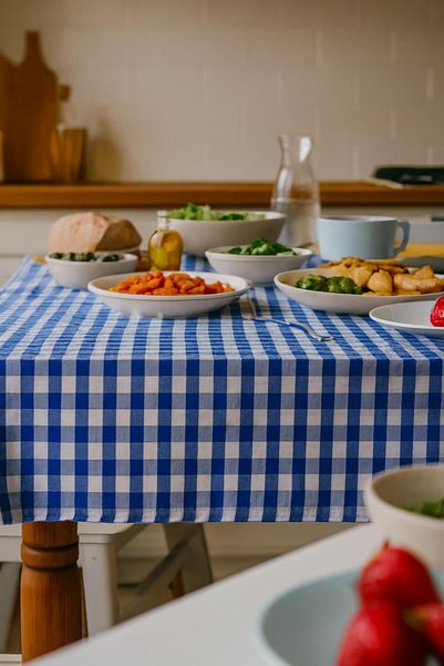 alinastore 160X170 cm Navy Blue Large Gingham Tablecloth, Table Cloth, Picnic Cloth