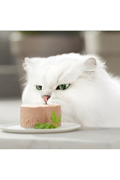 Gourmet GOLD BEEF PATE 85 G