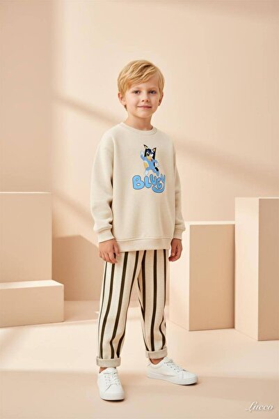 Palal Boys' Organic Cotton 3 Thread Fabric Sweatshirt and Sweatpants Set Kids