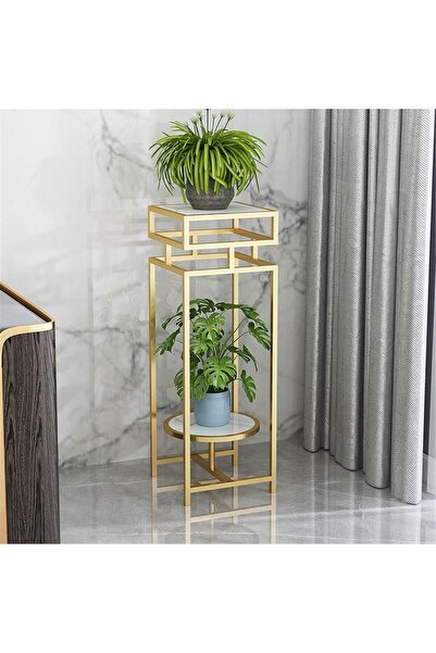 Generic Style Side Table Tall Plant Display Stand Double Tier (30×30×70cm, Gold)