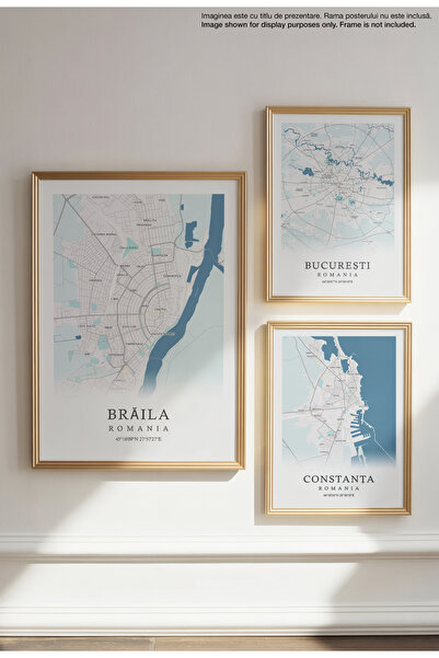 21mxm Canvas Poster with Braila City Map - Romania – Unframed Digital Print