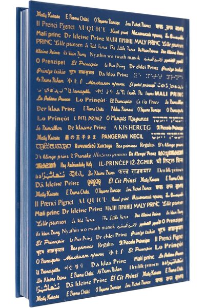 genernic High-Quality "The Little Prince" A5 Notebook by Grupo Eric - Blank Pages