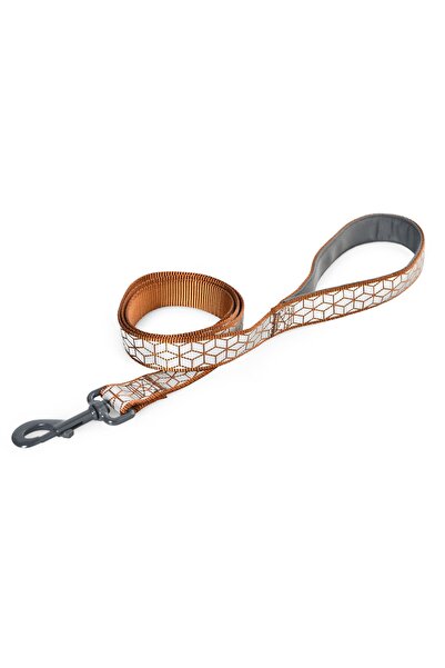 Pet Luxe حزام ربط عاكس للضوء