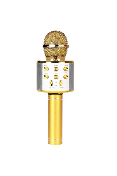 SDEPOT microfon karaoke, wireless, cu difuzor integrat, conectivitate Bluetoo...