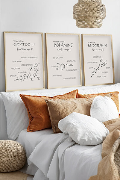 huhuli Ahşap Çerçeveli Mutluluk Hormonları 3'lü Tablo Seti Huhu562