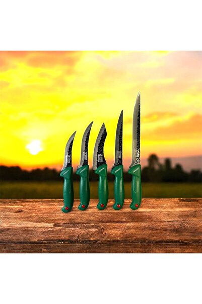 RABY Set of 5 Professional Butchery Knives, Forged Carbon Steel, Green Handles
