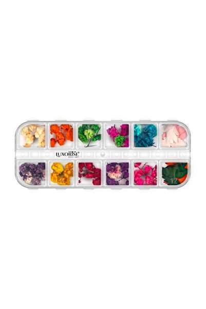 LUXORISE Dried Nail Flowers - Rainbow Bloom, 12 designs