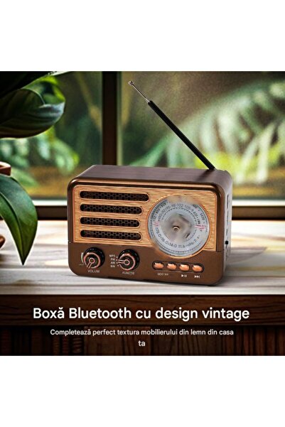 BLA BLA FOAM Retro Portable Radio with LED Flashlight, 2000mAh, Bluetooth, FM/AM/SW, AUX, USB, TF Card - Brown