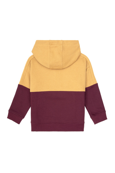 U.S. Polo Assn. Boy's Burgundy Sweatshirt 50308541-Vr177