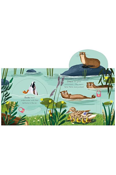 Nosy Crow Ltd Carte interactiva cu glisor Big Outdoors for Little Explorers: River