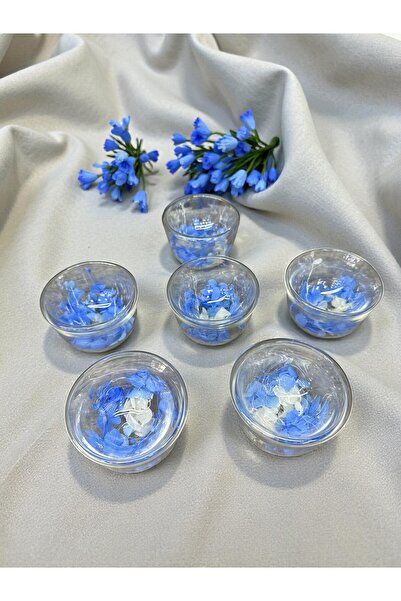 İnterlife 6-Piece Double-Walled Artificial Flower Turkish Delight Bowl, Confectionery, Coffee Side Serving, Small Glass Bowl, 7 cm