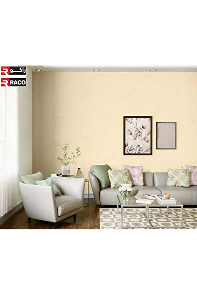 Raco Asianpaints Berger Value Stucco Extra Mix Water Based Putty Filler White (1 US Gallon)