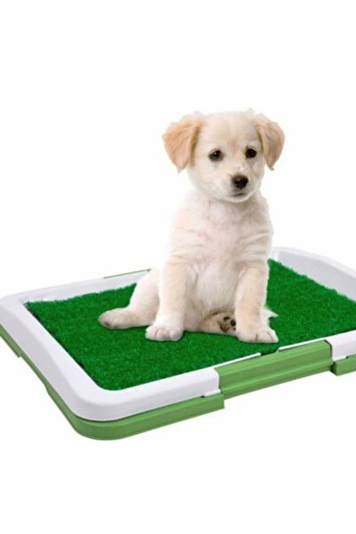 OEM Pet Litter Tray with Artificial Grass for Dogs and Cats