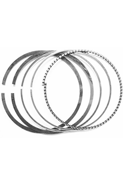 Garden Parts Segmente Briggs&Stratton seria 400, 500 diametru 65,09 mm